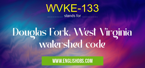 WVKE-133 means Douglas Fork, West Virginia watershed code WVKE-133