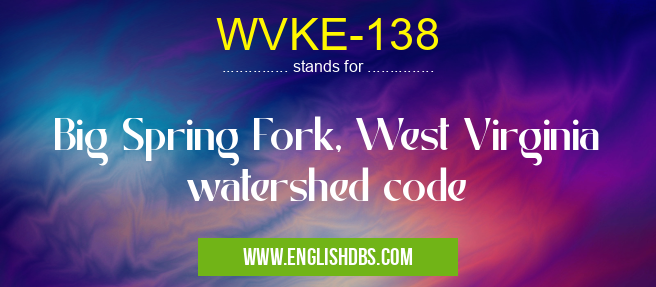 WVKE-138 means Big Spring Fork, West Virginia watershed code WVKE-138