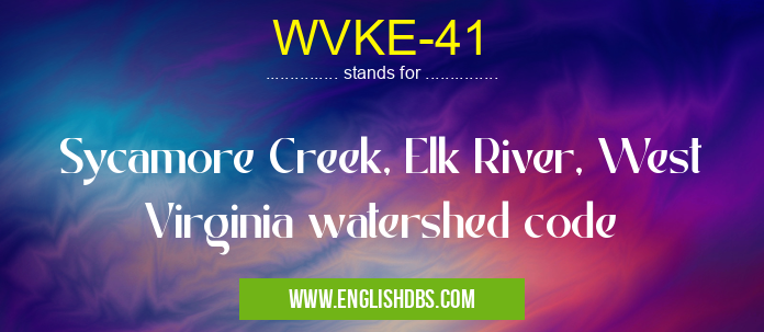 WVKE-41 means Sycamore Creek, Elk River, West Virginia watershed code WVKE-41
