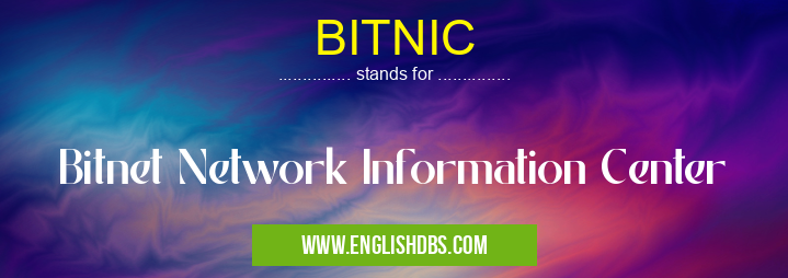 BITNIC means Bitnet Network Information Center BITNIC