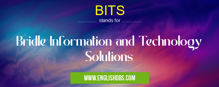 BITS means Bridle Information and Technology Solutions BITS