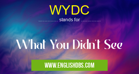 WYDC means What You Didn't See WYDC