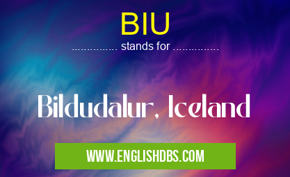 BIU means Bildudalur, Iceland BIU