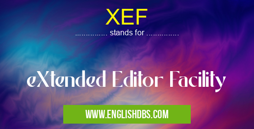 XEF means eXtended Editor Facility XEF
