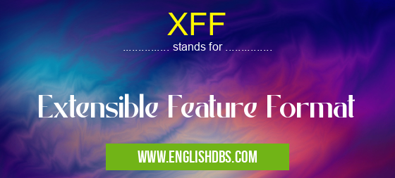 XFF means Extensible Feature Format XFF