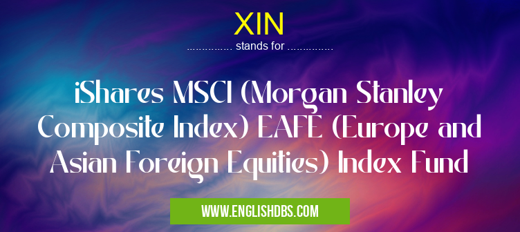 XIN means iShares MSCI (Morgan Stanley Composite Index) EAFE (Europe and Asian Foreign Equities) Index Fund XIN