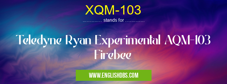 XQM-103 means Teledyne Ryan Experimental AQM-103 Firebee XQM-103