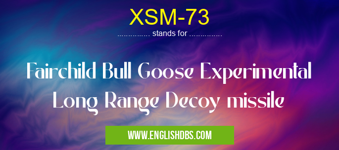 XSM-73 means Fairchild Bull Goose Experimental Long Range Decoy missile XSM-73