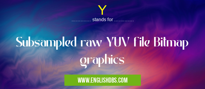 Y means Subsampled raw YUV file Bitmap graphics Y