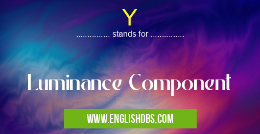 Y means Luminance Component Y