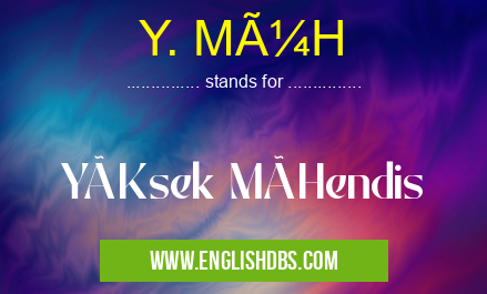 Y. MüH means YüKsek MüHendis Y. MüH