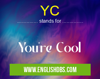 YC means You're Cool YC