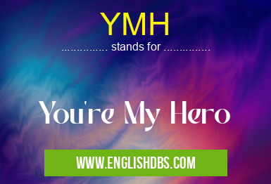 YMH means You're My Hero YMH