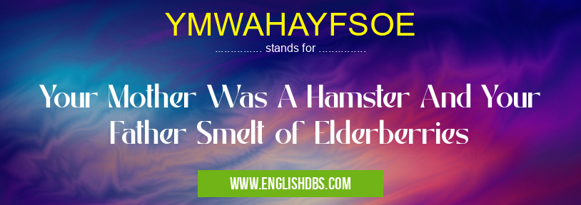 YMWAHAYFSOE means Your Mother Was A Hamster And Your Father Smelt of Elderberries YMWAHAYFSOE