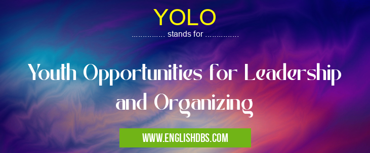 YOLO means Youth Opportunities for Leadership and Organizing YOLO