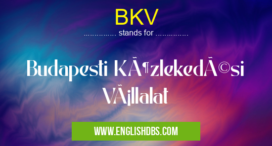 BKV means Budapesti Közlekedési Vállalat BKV