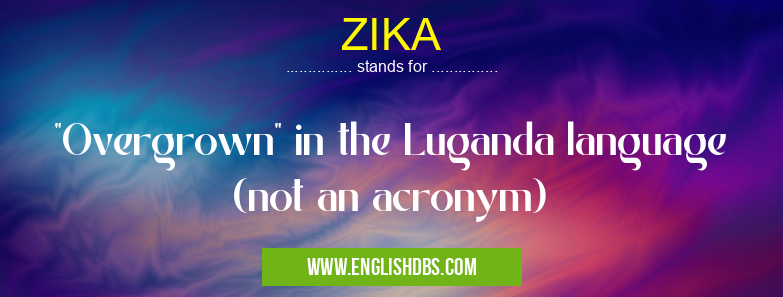 ZIKA means ZIKA