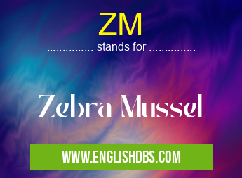 ZM means Zebra Mussel ZM