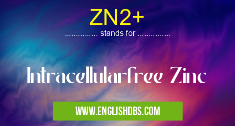 ZN2+ means Intracellularfree Zinc ZN2+