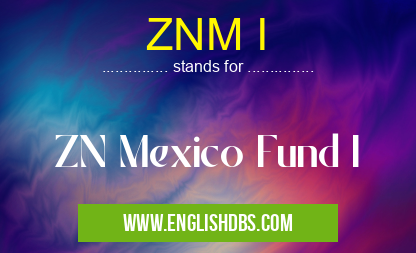 ZNM I means ZN Mexico Fund I ZNM I