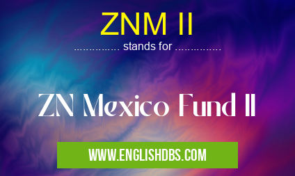 ZNM II means ZN Mexico Fund II ZNM II