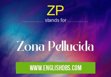 ZP means Zona Pellucida ZP