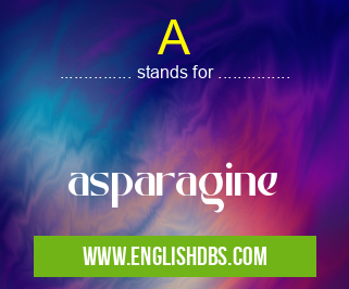 A means asparagine A