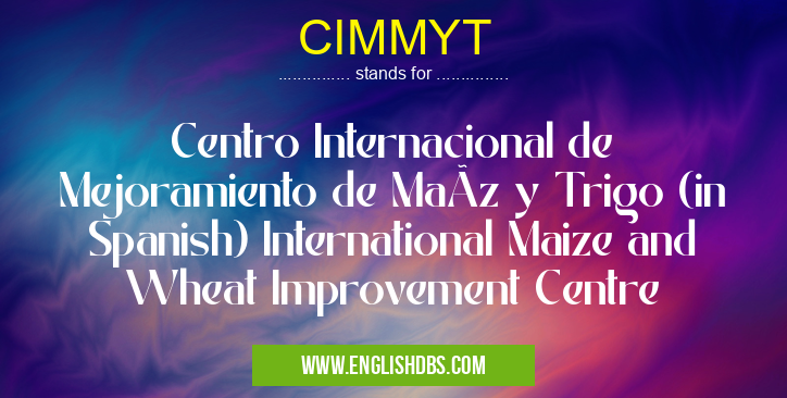 CIMMYT means Centro Internacional de Mejoramiento de MaÃz y Trigo (in Spanish) International Maize and Wheat Improvement Centre CIMMYT
