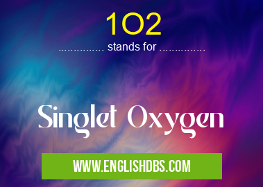 1O2 means Singlet Oxygen 1O2