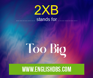 2XB means Too Big 2XB