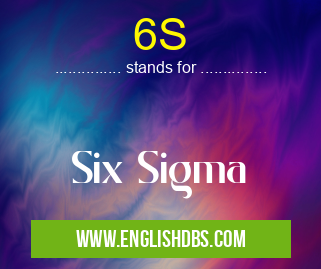 6S means Six Sigma 6S