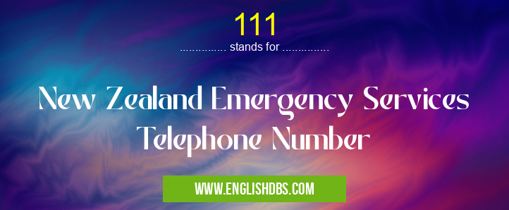111 means New Zealand Emergency Services Telephone Number 111