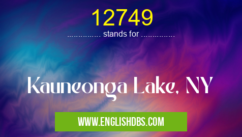 12749 means Kauneonga Lake, NY 12749