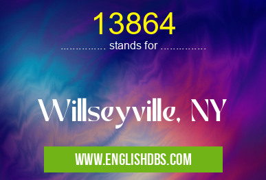 13864 means Willseyville, NY 13864