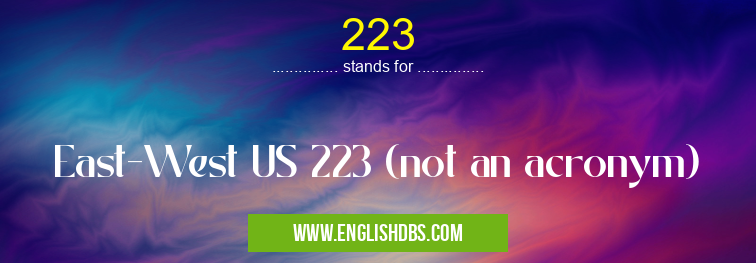 223 means East-West US 223 (not an acronym) 223