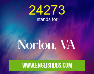 24273