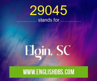 29045 means Elgin, SC 29045
