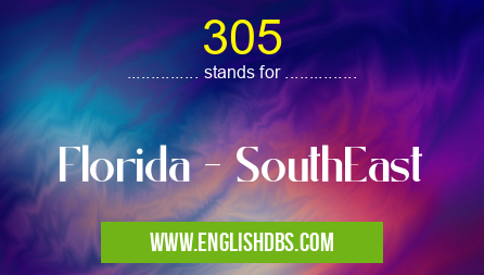 305 means Florida - SouthEast 305