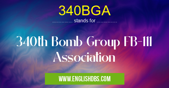 340BGA means 340th Bomb Group FB-111 Association 340BGA