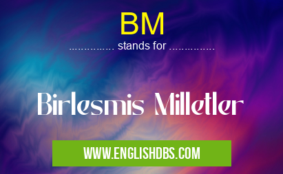 BM means Birlesmis Milletler BM