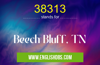 38313