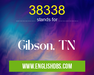 38338