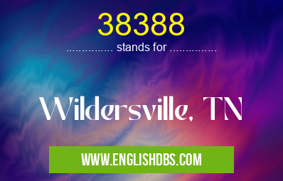 38388