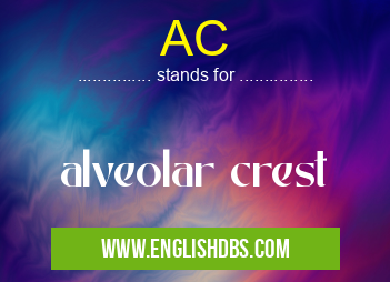 AC means alveolar crest AC
