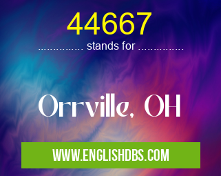 44667