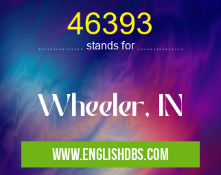 46393
