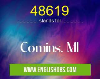 48619