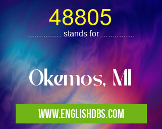 48805