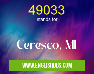49033