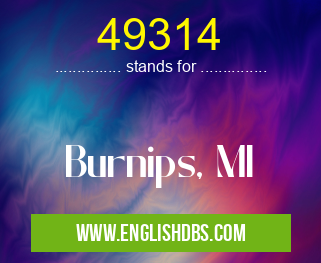 49314